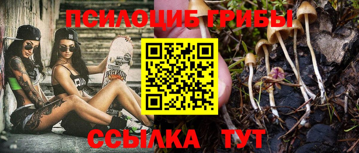 Галлюциногенные грибы мухоморы Ейск